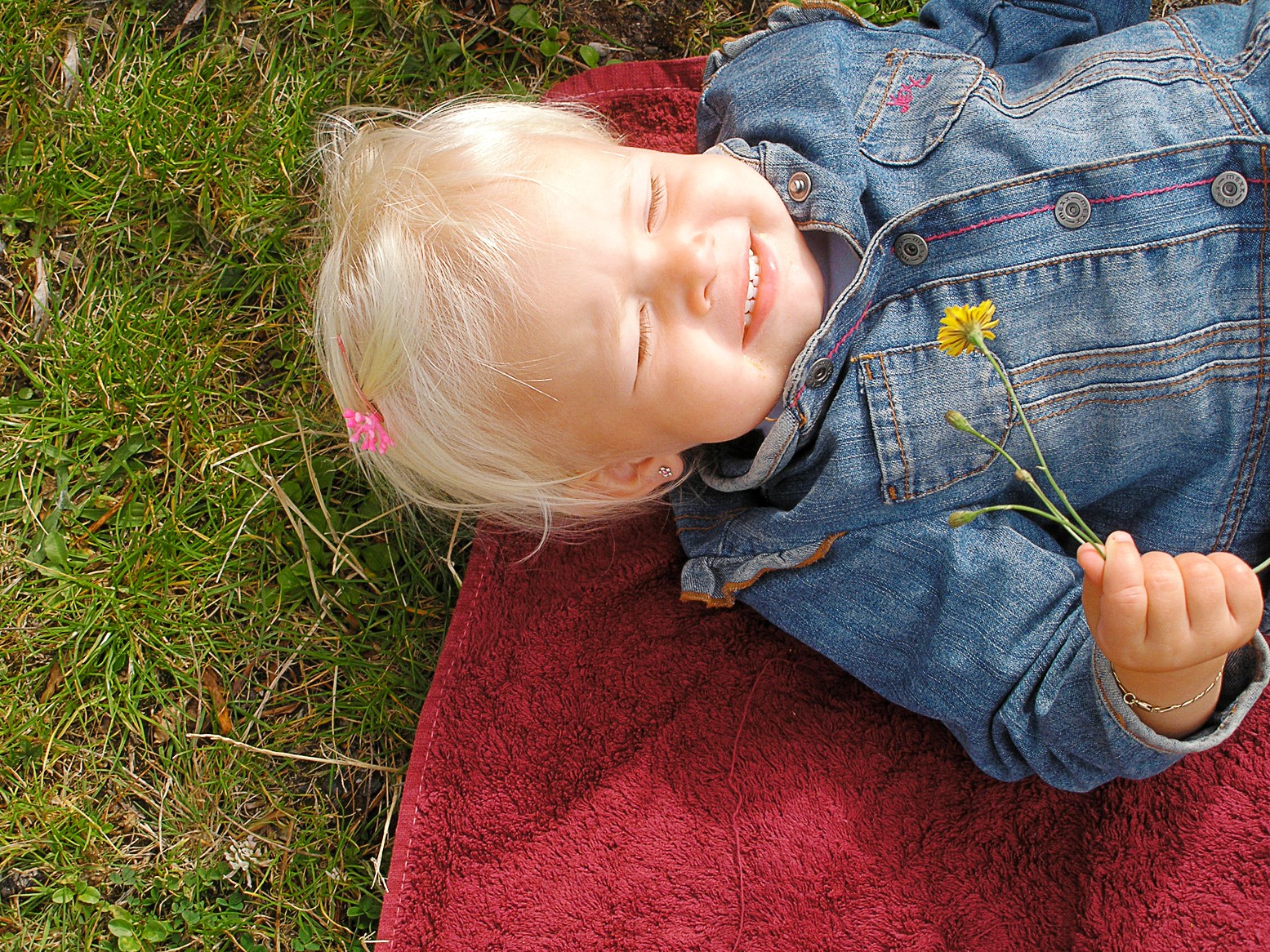 Beautiful Baby With A Small Rose