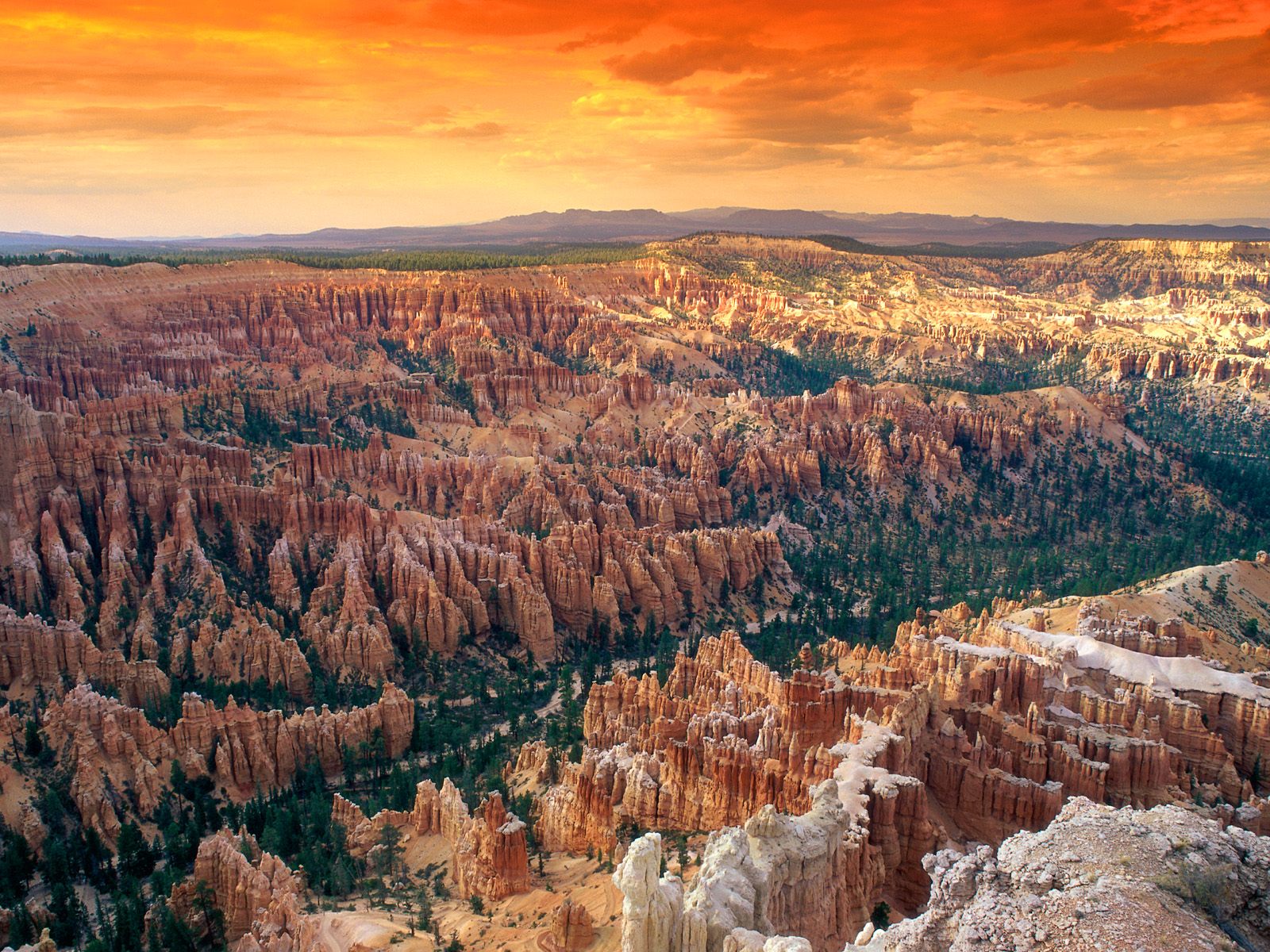 Bryce Canyon National Park, Utah HD Wallpaper