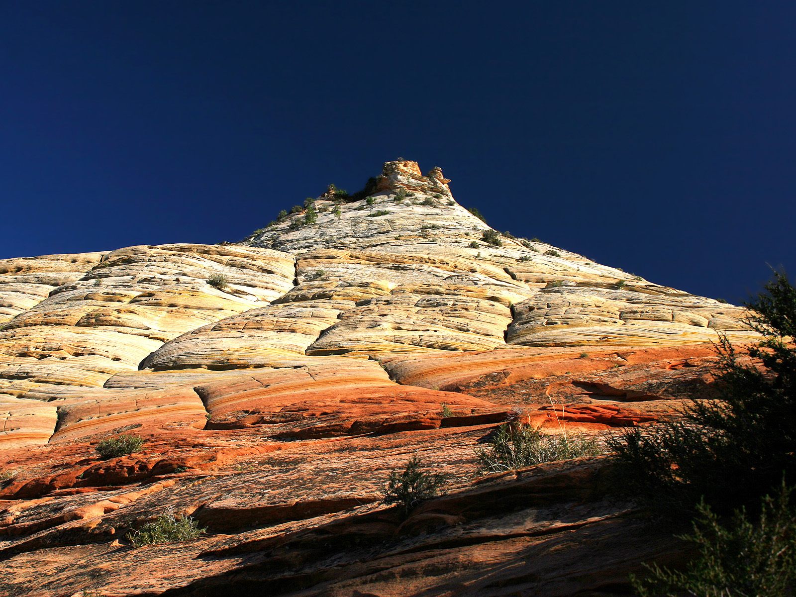 Checkerboard Mesa, Zion National Park, Utah HD Wallpaper