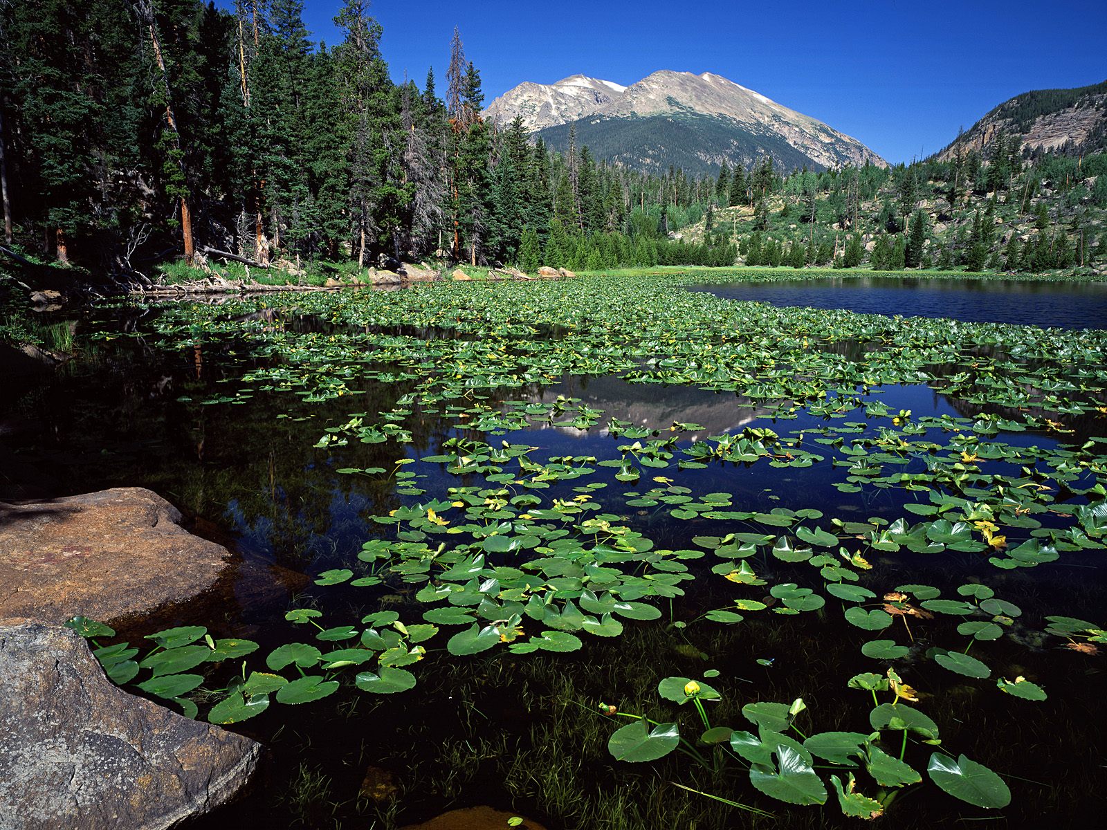 Cub Lake, Stones Mountain, Rocky Mountain National Park, Colorado HD Wallpaper
