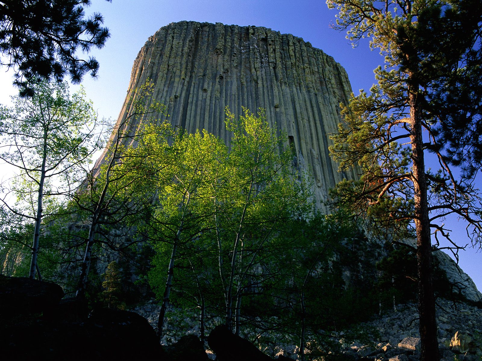 Devil's Tower National Monument, Wyoming HD Wallpaper