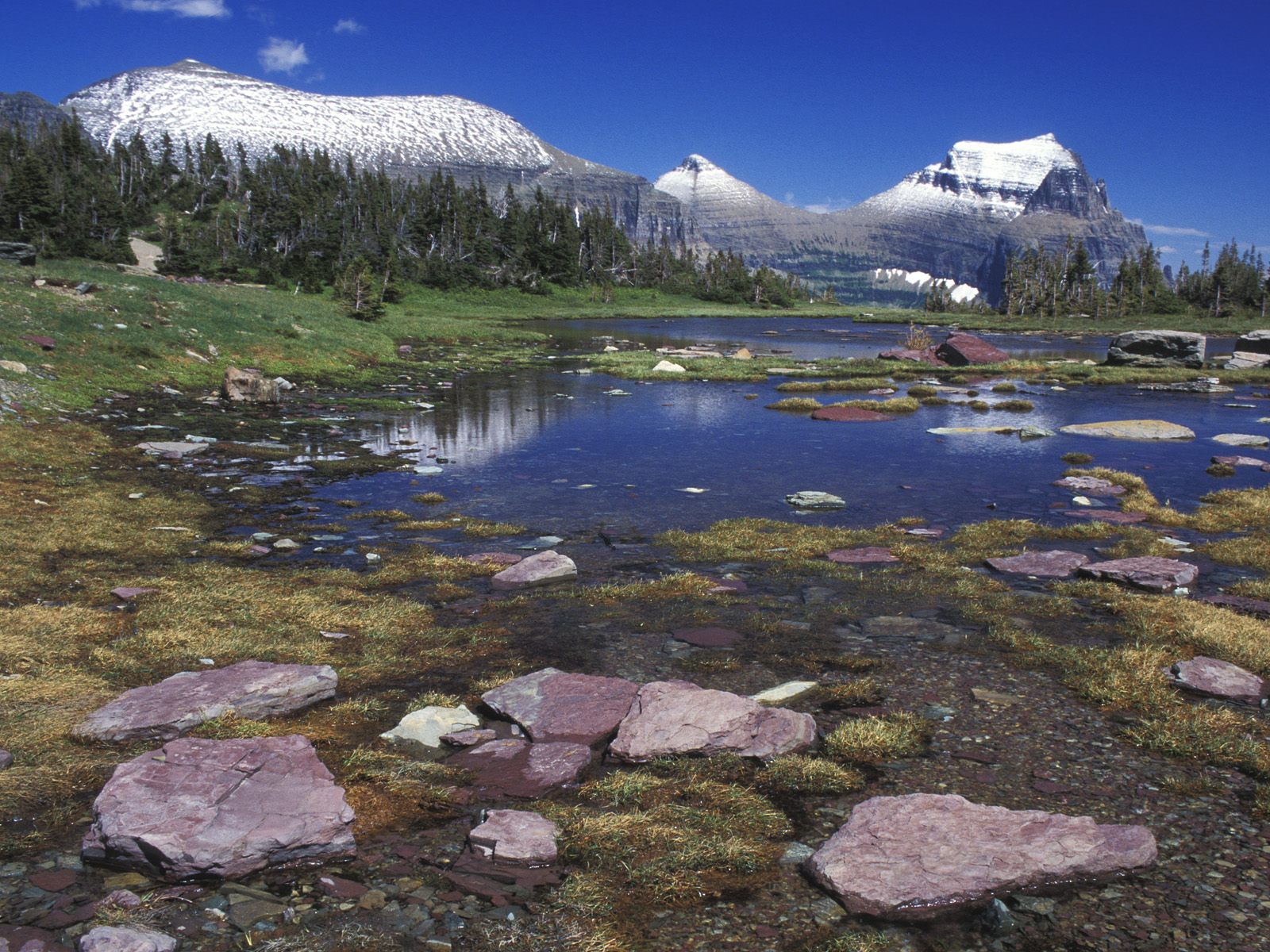 Pond and the Garden Wall, Glacier National Park, Montana HD Wallpaper
