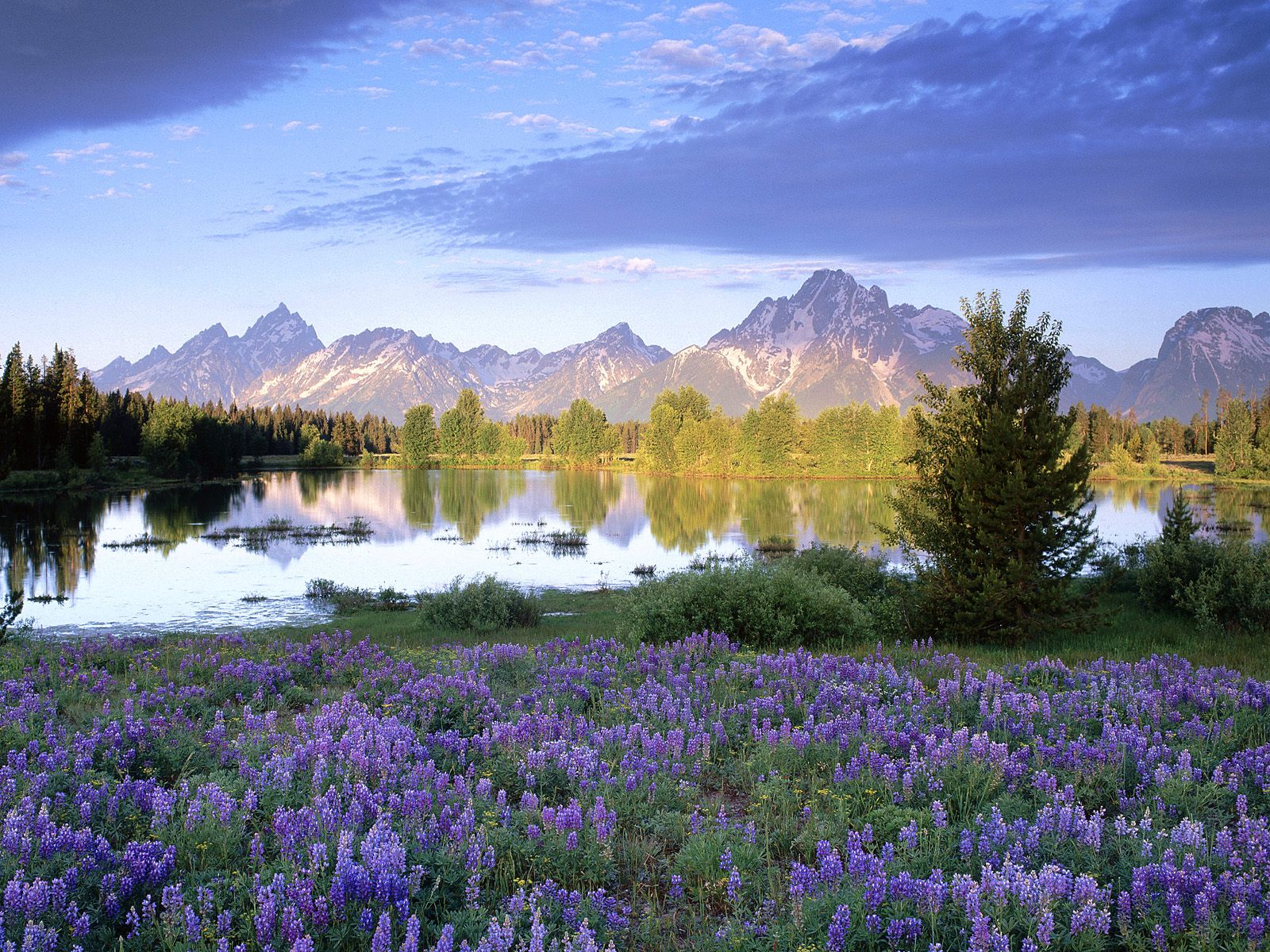 Teton Range in Spring, Wyoming HD Wallpaper 60 Most Fascinating National Park In The World