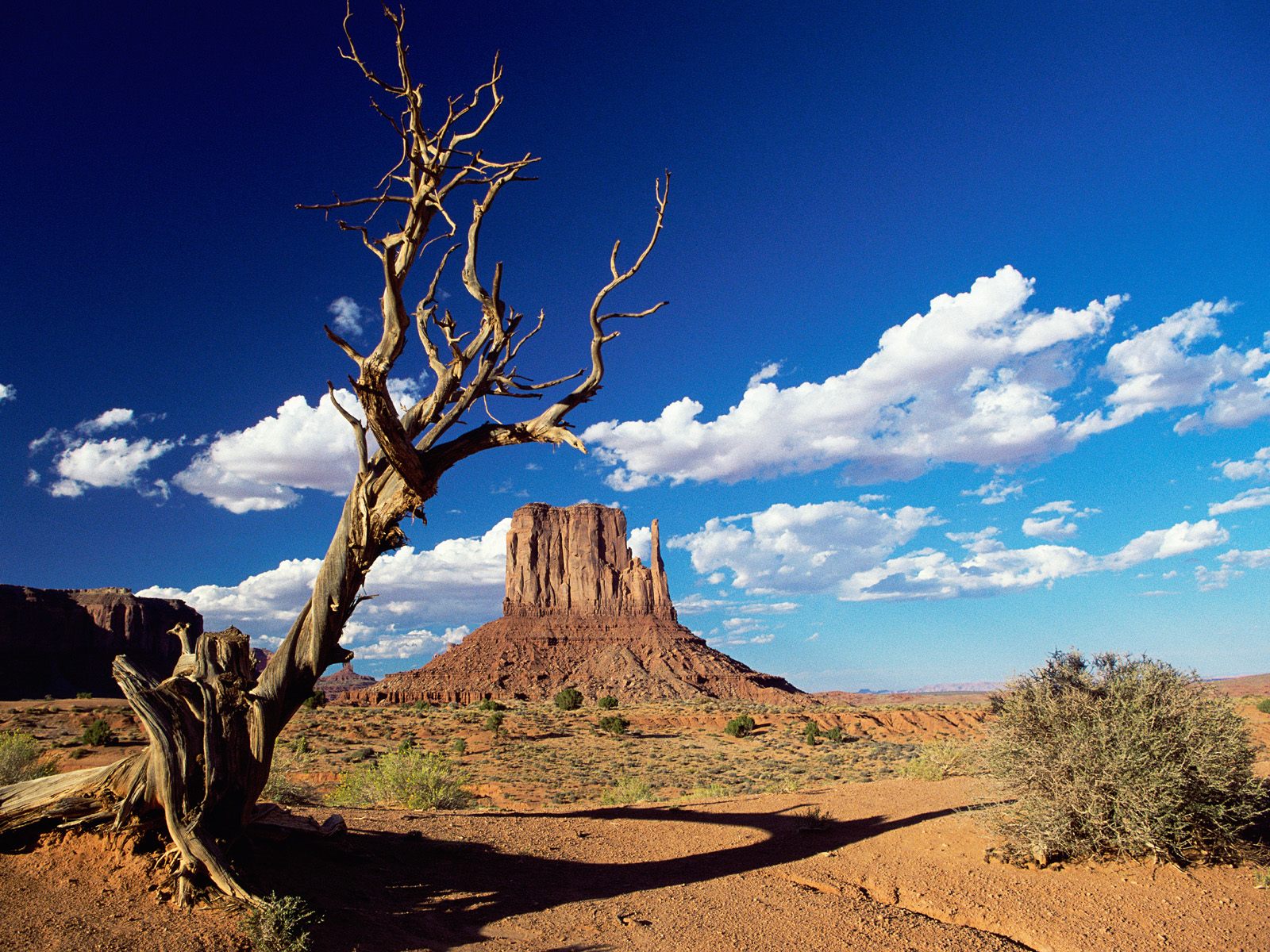 West Mitten Butte, Monument Valley, Arizona HD Wallpaper 60 Most Fascinating National Park In The World